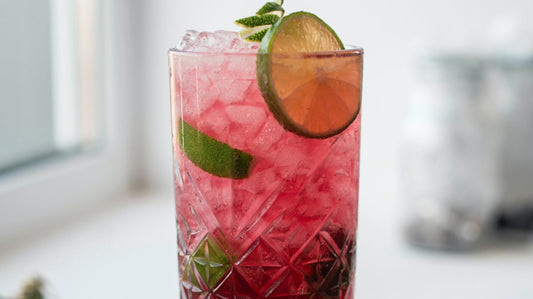 Raspberry Hibiscus Soda