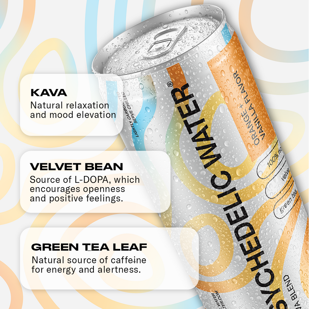 Orange + Vanilla 12 Pack