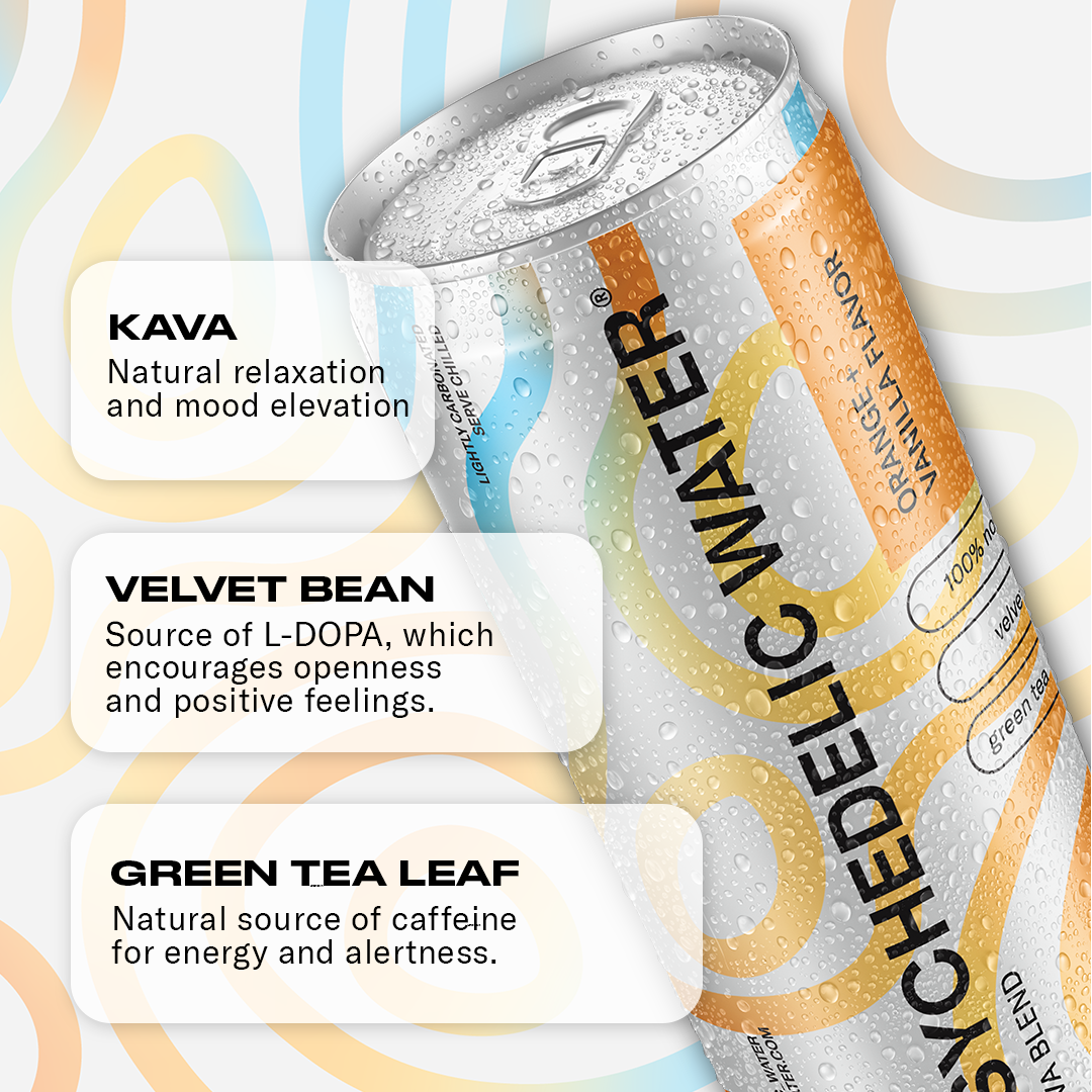 Orange + Vanilla 12 Pack