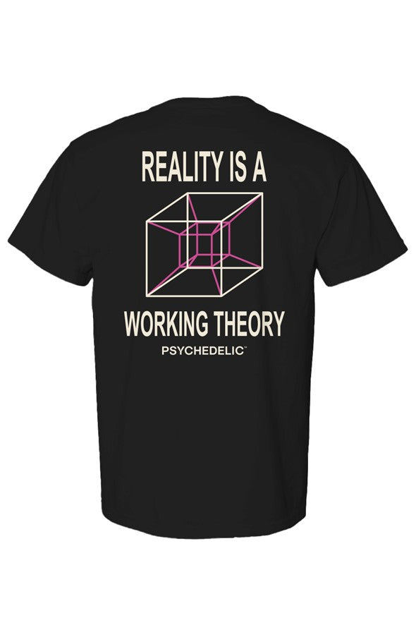 Reality Is a Working Theory Tee in Black — Back product mockup