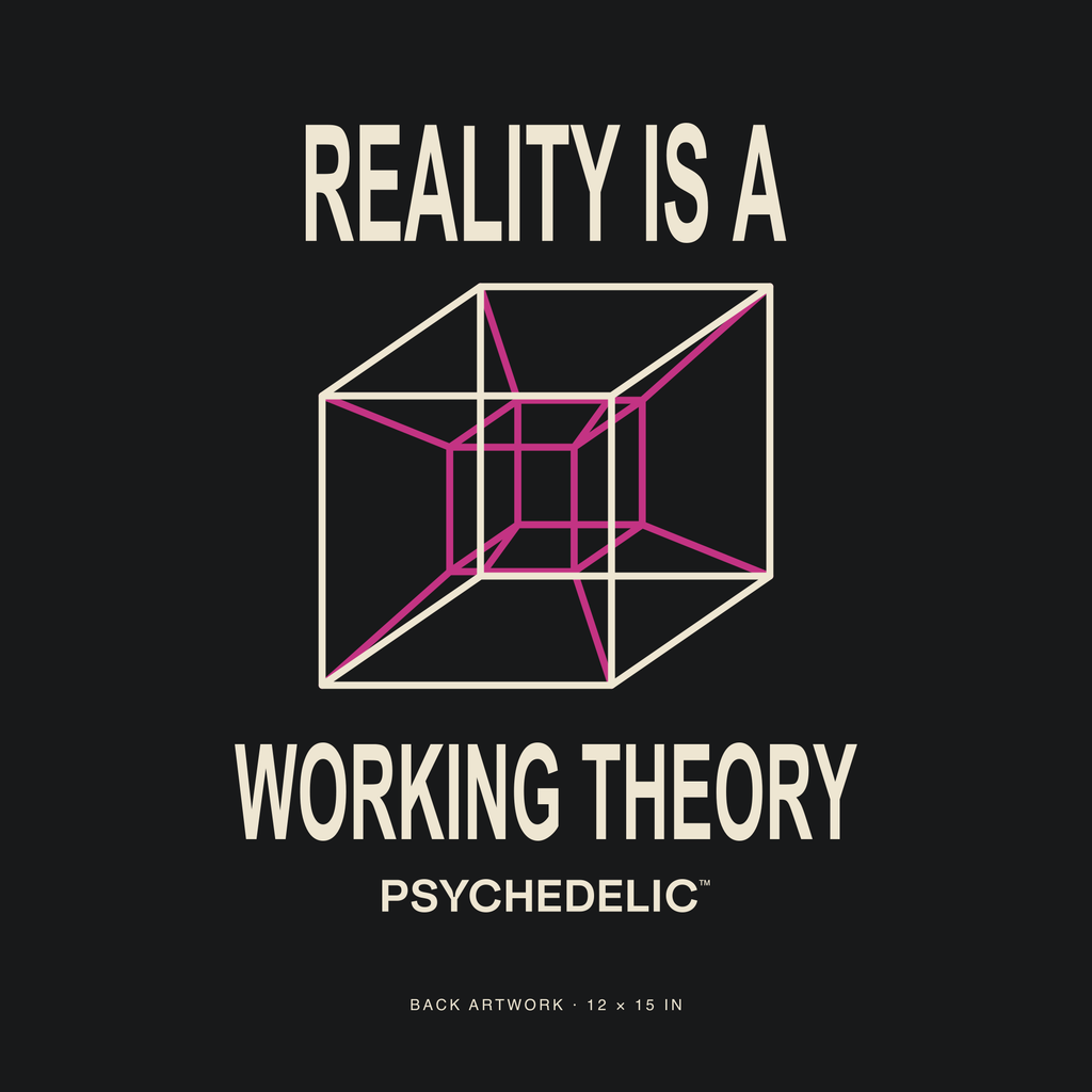 Reality Is a Working Theory Tee in Black — Exact back artwork detail