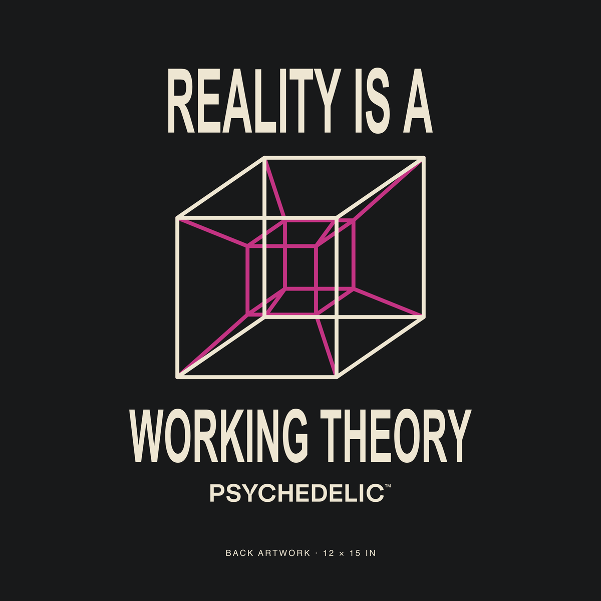 Reality Is a Working Theory Tee in Black — Exact back artwork detail